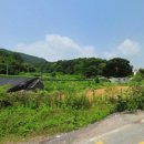 남판교 공인중개사사무소 이미지