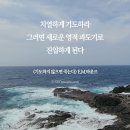 나눔핸드폰 이미지