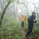 명덕레져 이미지