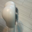 우리집강아지 | 강아지 빗 종류 | 우리집 강아지 털 유형별 빗 추천, 이것만 보면 끝