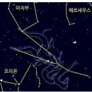 붉은황소 이미지