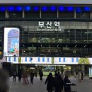 피자먹다 부여점 | 부산 당일치기 코스 부산 남포동 맛집 이재모피자 본점 내돈내산 (f. 토요일 점심 웨이팅 꿀팁 + 광복...