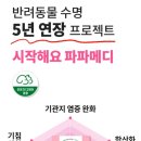 파파메디