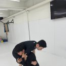 체인 그래플링 이미지