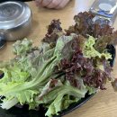 엄마손김치 이미지