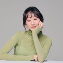 비바이송