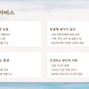 고고월드크루즈야