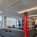 한마제3체육관 | <파주>초보인데도 미친듯이 땀 뺀 "파주권투체육관" 후기