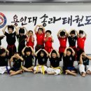 용인대 송라태권도장 이미지