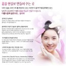 끌리메 네이버블로그