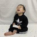 아임플란 | [아이가있는집] 유아선크림 추천 :: 라이크아임파이브 마일드 선스크린