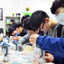 수지고등학교 이미지