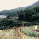 홍천강그린팬션 이미지