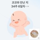 한올세탁 | 임신 후기 | 33주 ~34주 증상 | 역류성식도염, 동탄...검사, 임산부 목주름, 아기세탁, 임산부 두드러기