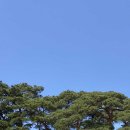 종로청국장