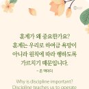 욕망으로부터 이미지