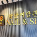 팔팔이발관