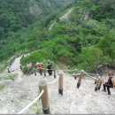 군위(부산) 이미지