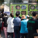 오전11 이미지