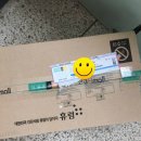 스쿠버다이빙의정석#