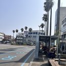 서귀포365일의원 | 제주 서귀포 내성발톱 방문후기