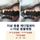 더샵동물메디컬센터 이미지