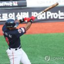 두리위즈 이미지