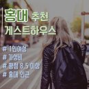 홍대 가성비 게스트하우스 추천 : 코코아 / 그레이프가든 / 헤이마 / 버틀러리