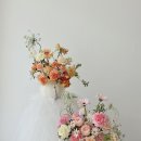 맨디데이즈