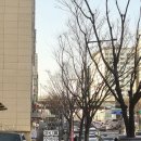 마포구청역(6) | 고층뷰 마포구청역 헬스장 바디앤짐 6개월 후기