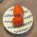 본삼로 | 안산 본오동 맛집 안산 LA갈비, 상록수역 숨은 꽃갈비 맛집 후기