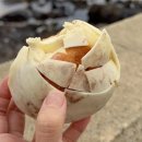 해용농장 | 제주 동문시장 크림빵 맛집, 주말 오픈런 웨이팅 후기 I 아베베 베이커리