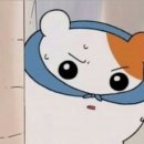 제스트컴
