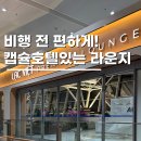 르노삼성자동차서비스코너사파점 | 하노이 노이바이 공항 라운지 베트남여행 전 필수코스