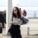 돼야지 이미지