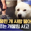 대한카센터 이미지