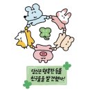 강릉짬뽕순두부동화가든 이미지