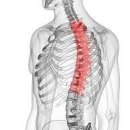 닥터포바디 퍼스널 트레이닝 이미지