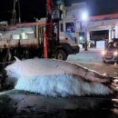 울진해양경찰서 죽변파출소 이미지