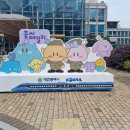 서대전역관광안내소 이미지