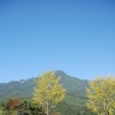 빈야사요가B 이미지