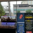 청년정육백화점 이미지