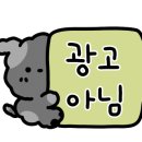 오스테리아 보노 이미지