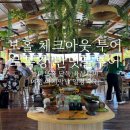 다보안경 | 보홀 체크아웃 육상투어 종결판! 놀다보홀 로복강 초콜릿힐 안경원숭이 반딧불 투어 단독