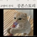 공존스토리 | 믿을 수 있는 공존스토리에서 챠오츄르 주문 후기(츄르 먹방)