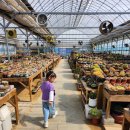 이정농장 이미지