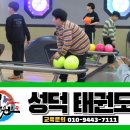 성덕태권도 이미지