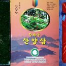 제주영실 표고버섯 이미지