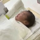 포옹호프 | 막달 양수 부족 아이제일 제왕절개 후기 (수술 당일부터 ~ 수술 1일차)