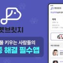 펫브릿지 이미지